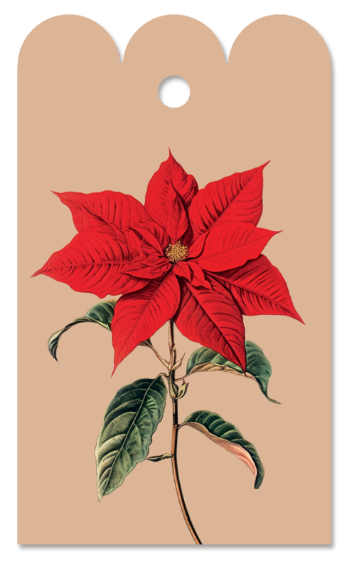 Gift Tag Christstern