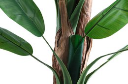 ARTIFICIAL BANANA TREE 180 CM HIGH. OK1037