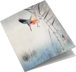 Grußkarten-Set Vogeldrucke