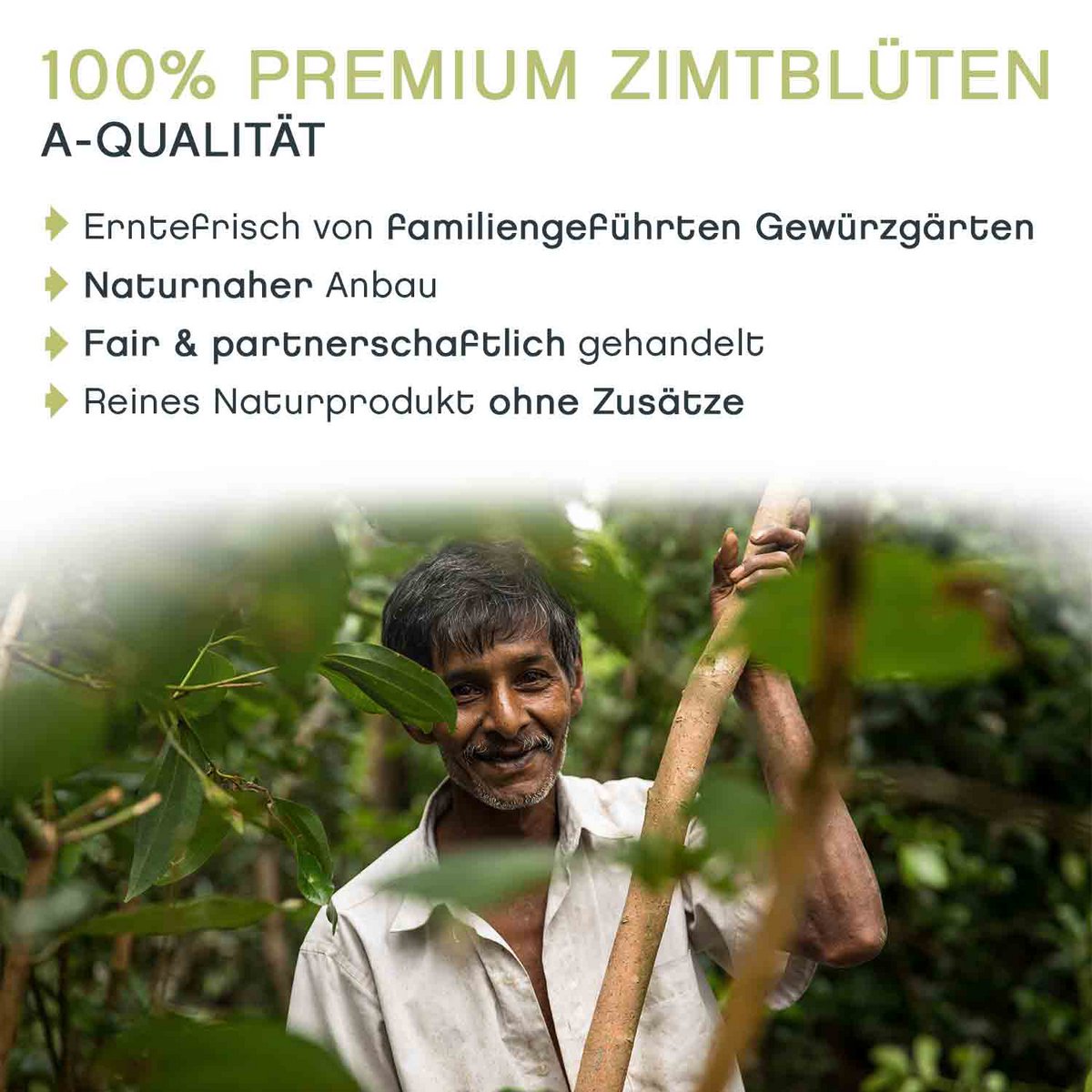 Fiori di cannella interi, 100 g