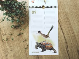 Dyrefødselsdagskalender, evighedskalender, miljøvenlig