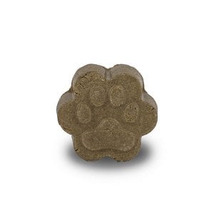 Solid shampoo for cats