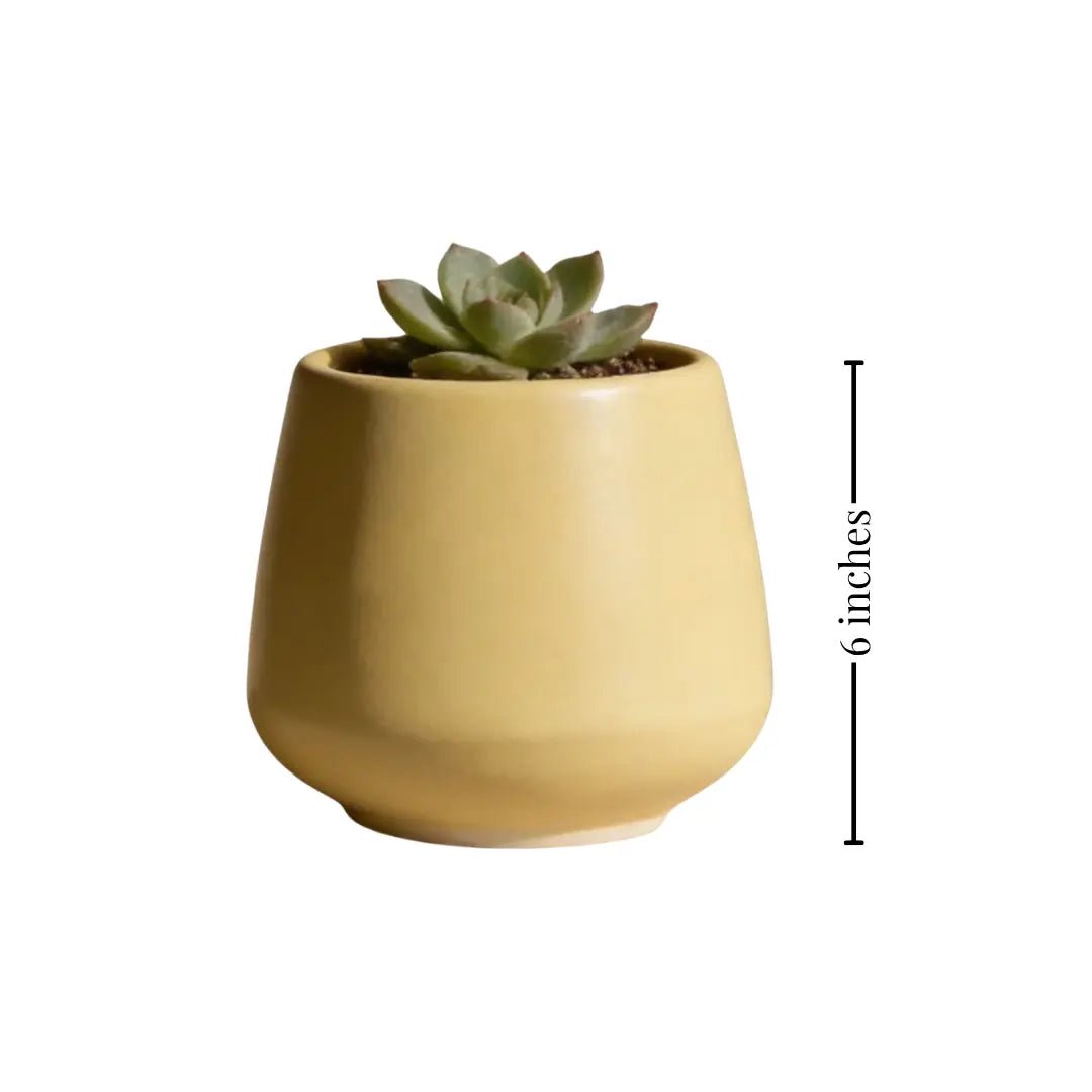 Plant Pot | Stoneware Planter Small Pastel Lemon | Yellow