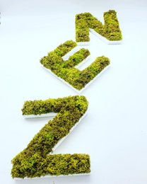 Stabilized vegetable letter