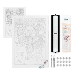 Paint by Numbers - Peonies