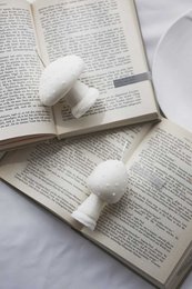 Ordinate-Woodland Mushroom Candle-01 Mushroom candle made of soy wax and beeswax | Handmade decorative candle | Cottagecore home decor | Gift for book lovers | Christmas candle