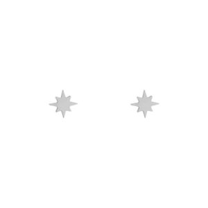 STUD OORBELLEN NOORDSTAR