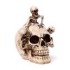 Skull with Bursting Skeletons