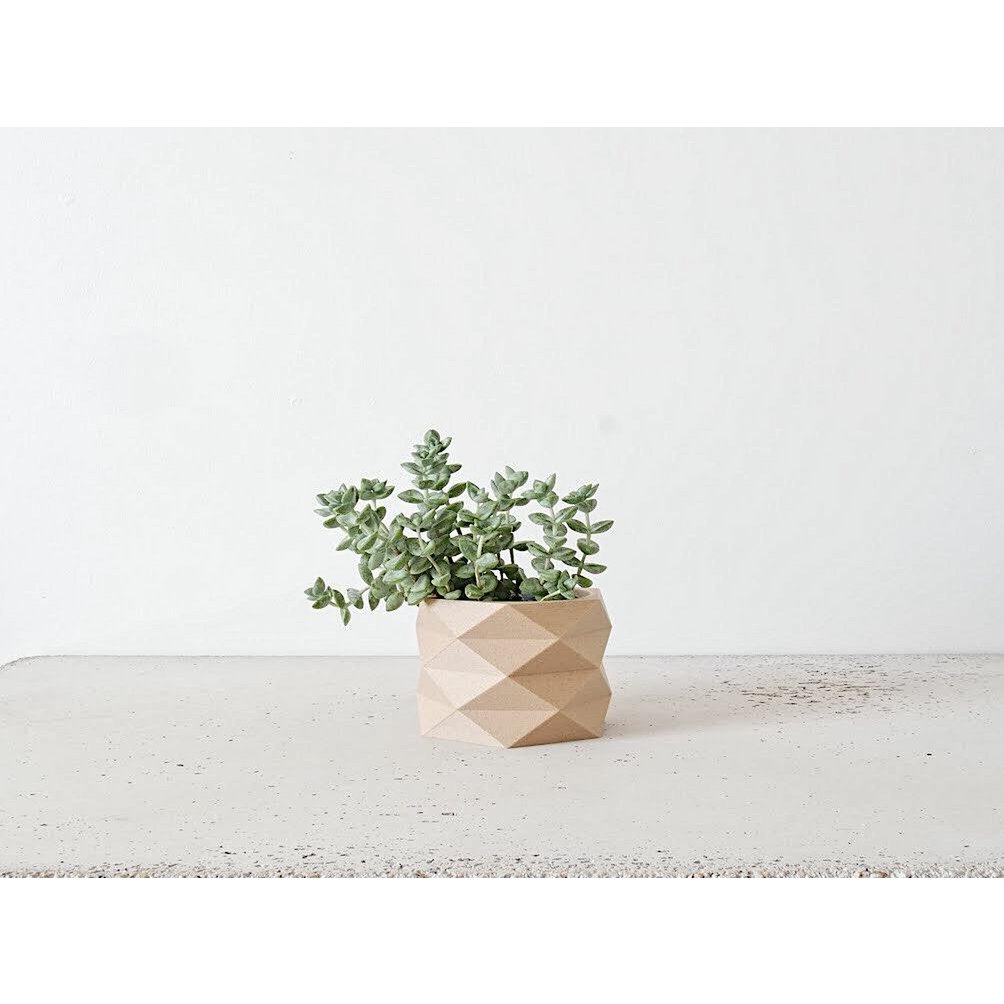 Natural Wood M - 8,5 cm inner diameter