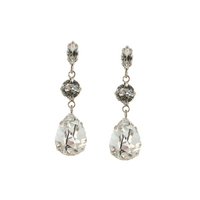 Silver Beetle Drop Earrings