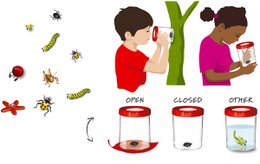 Insect magnifying glass Mega