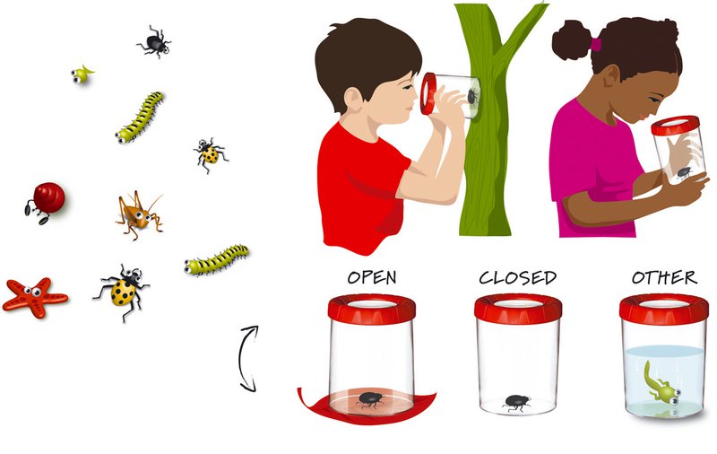 Insect magnifying glass Mega
