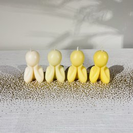 Den lille drømmer/tænker