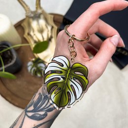 Monstera Variegata