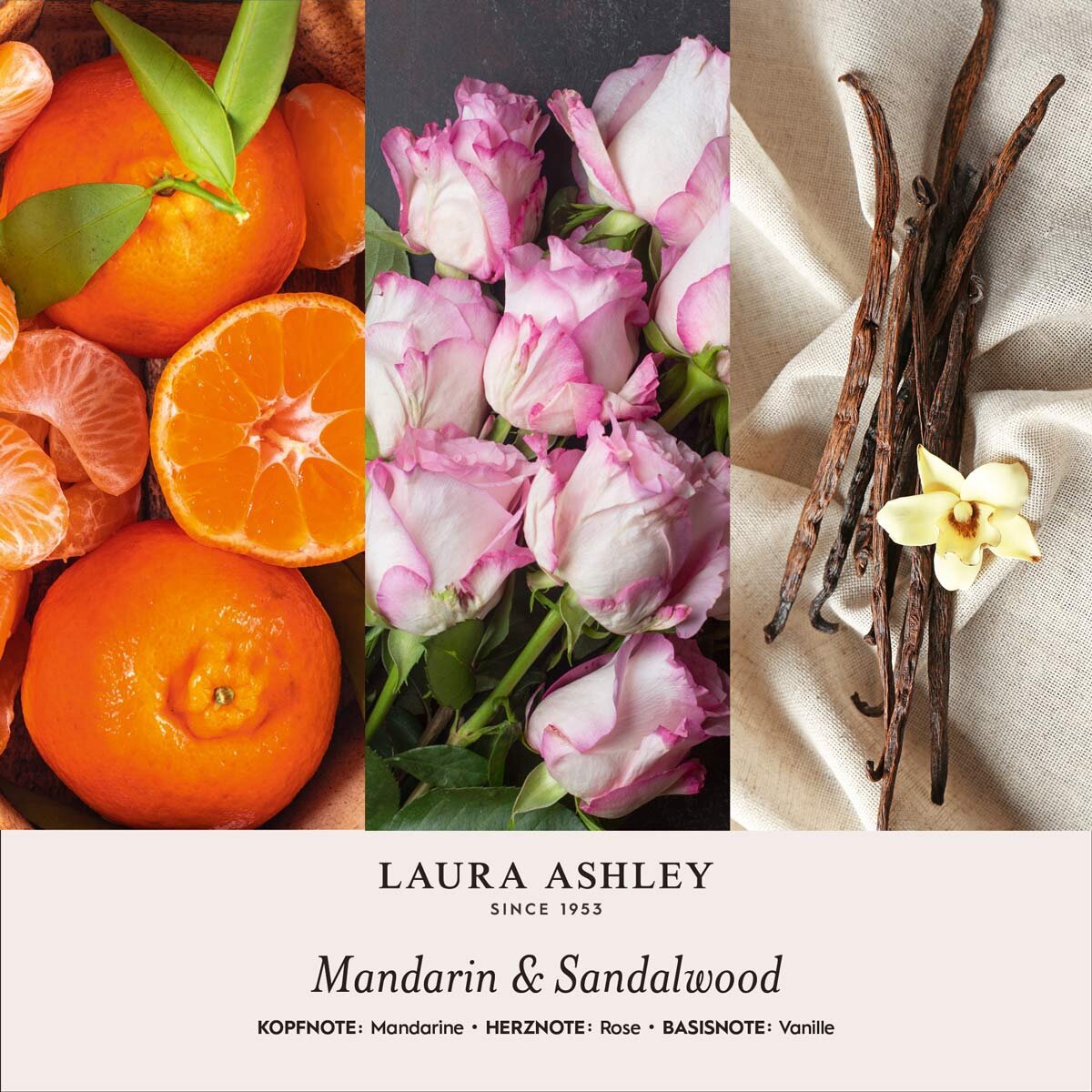 Scented candle Laura Ashley Mandarin & Sandalwood - 400g
