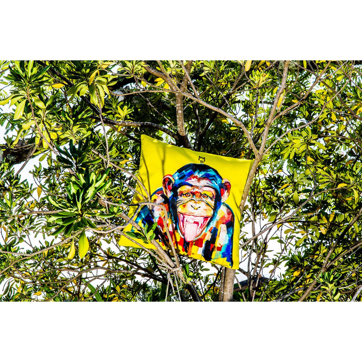 Funky Monkey cushion by Vincent Richeux