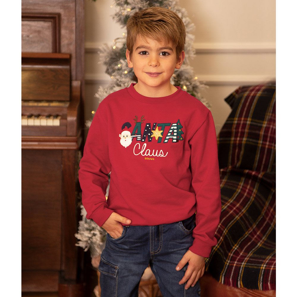 Santa Claus Embroidered Christmas Sweatshirt