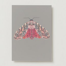 A colorful, patterned moth or insect with pink and gray wings on a gray background.