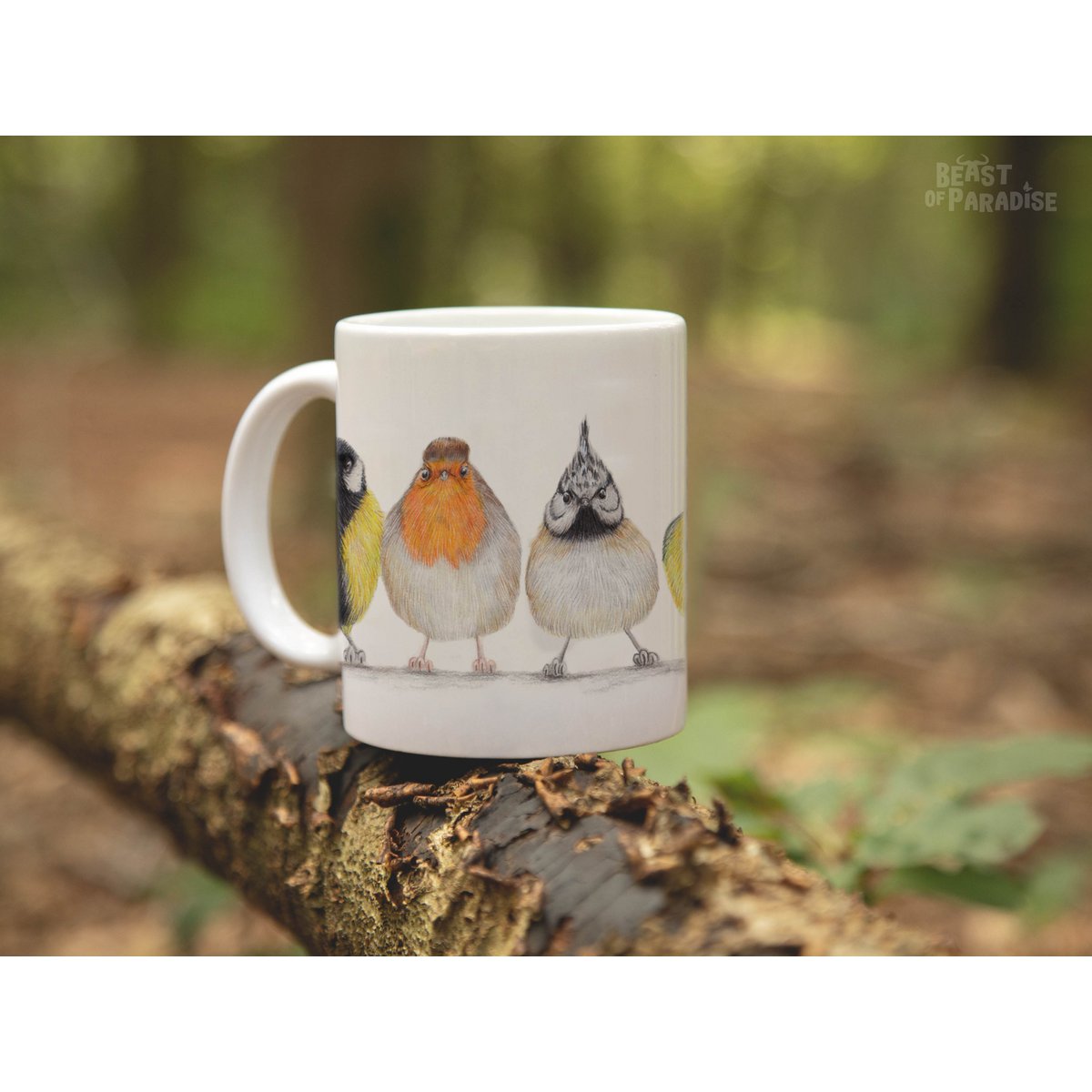 Tazza in ceramica, uccelli europei, tazze divertenti, tazze di animali