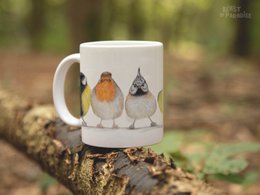 Tazza in ceramica, uccelli europei, tazze divertenti, tazze di animali
