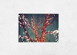 Carte postale arbre de lumières (PK_028)