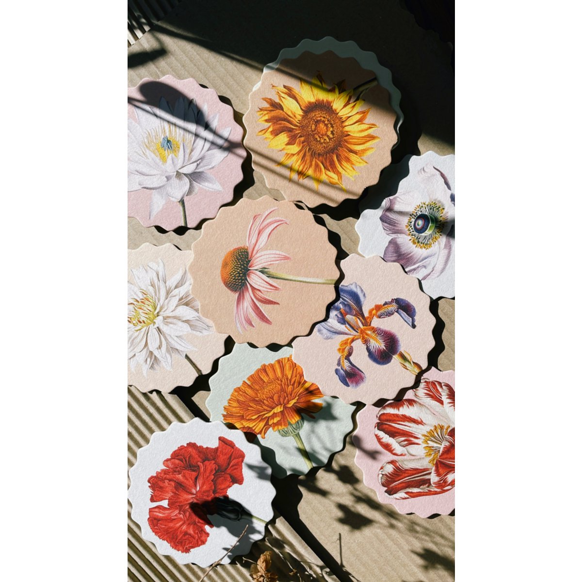 Sous-verres 10 motifs fleurs - 12 sets