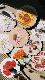 Coasters 10 motifs flowers - 12 sets