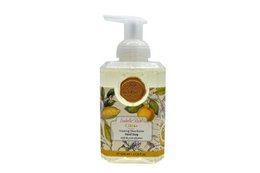 Schäumende Sheabutterseife Citrus 520 ml Isabelle Rose