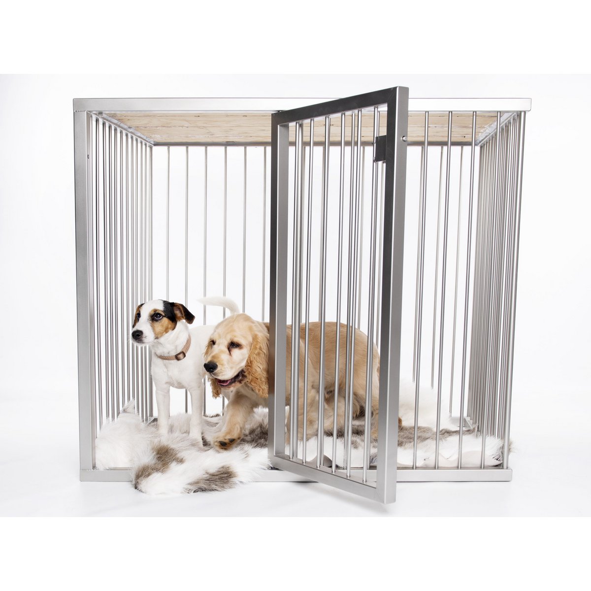 Dog Box Line Edition LOTTE Medium