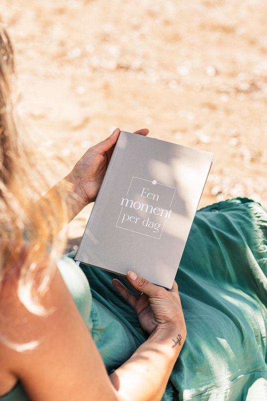 Fyllbooks Ein Tagebuch für einen Moment am Tag – Taupe