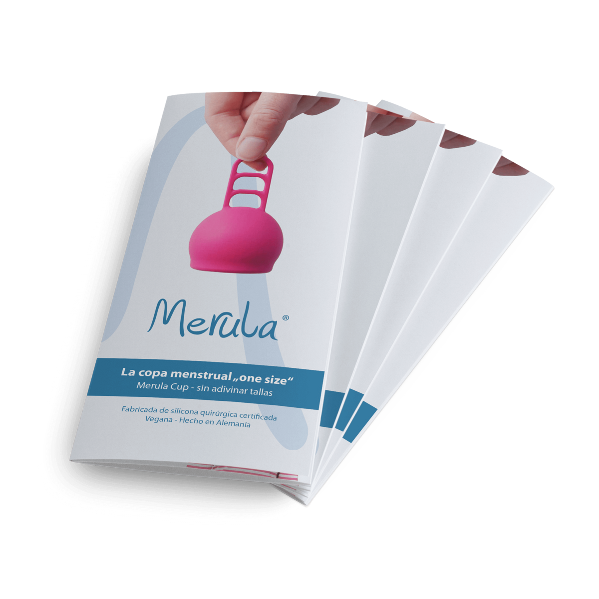 Merula flyer