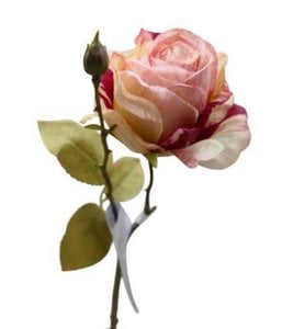FRENCH ROSE BD/4PC ORANGE