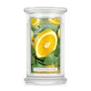 Citrus and Sage Large scented candle