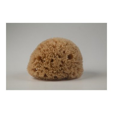 Natural Mediterranean Honeycomb bath sponges from Kalymnos Island