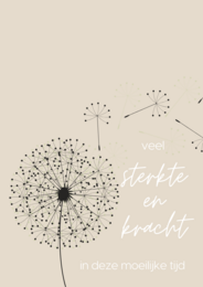 Kort | A6 | Meget styrke og styrke