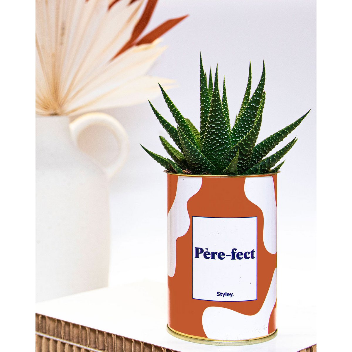 Père-fect - Cactus