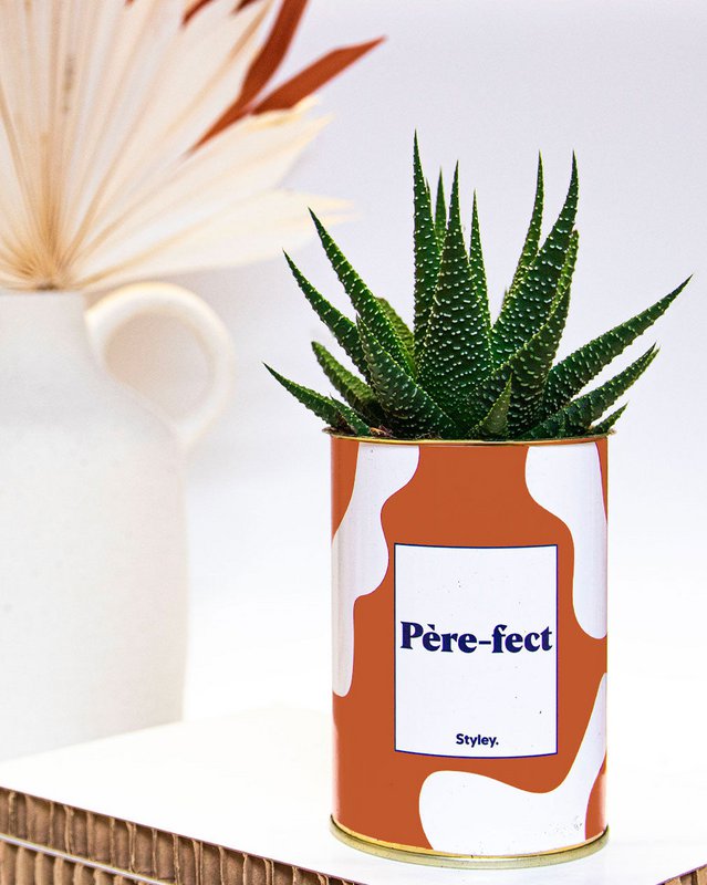 Padre perfecto - Cactus