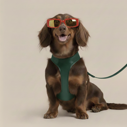 CABLAGGIO CHURCHILL. Verde Abete – Pettorina per cani imbottita in pelle vegana