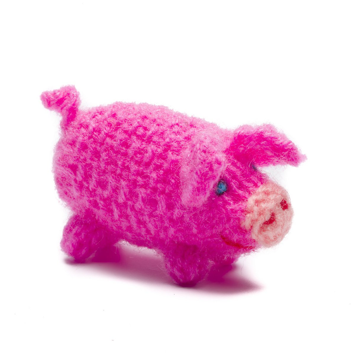 Cerdo de punto, pequeño