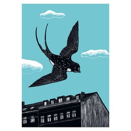 Posters | swallow