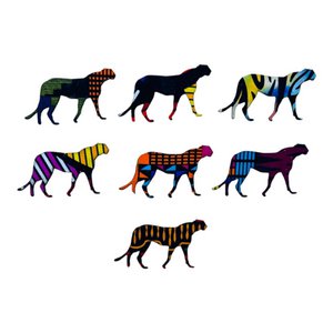 Jaguar Magnets