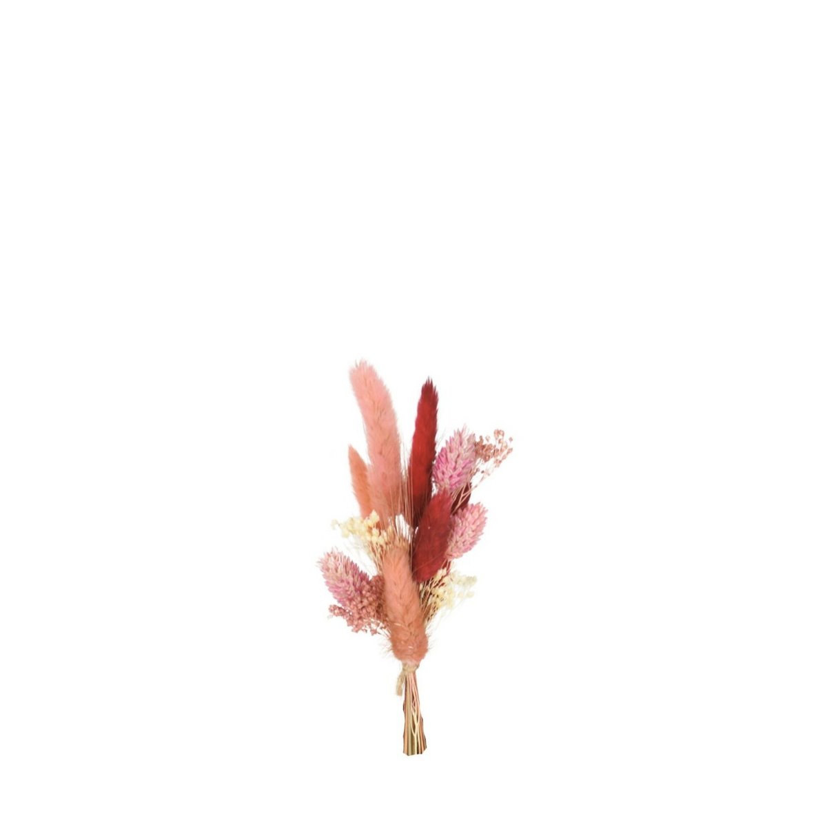 Kleines Bündel – Trockenblumen – Palisander – 22 cm