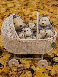 Cuddly cloth hedgehog piksi