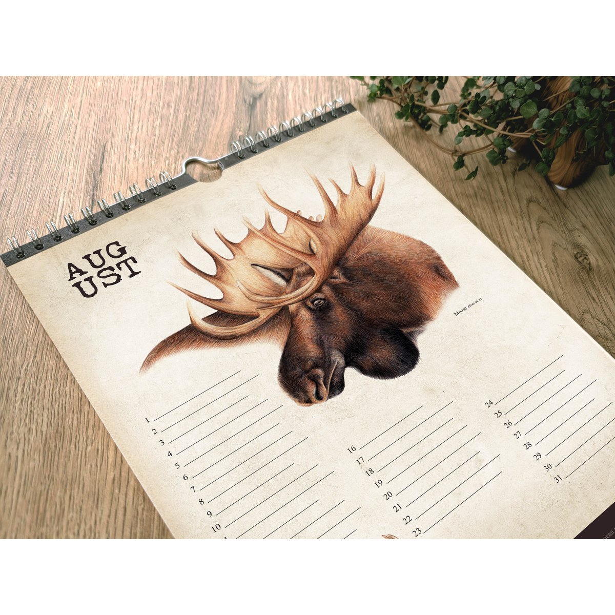 Hirsch-Geburtstagskalender, ewiger Kalender, umweltfreundlich