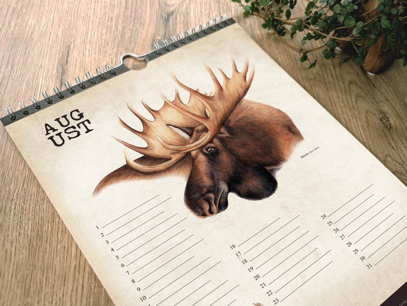 Hirsch-Geburtstagskalender, ewiger Kalender, umweltfreundlich