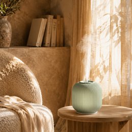 Verya Ultrasonic Diffuser