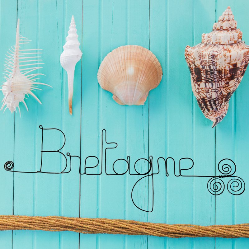 Wire Wall Decoration "Brittany" - to pin - Wall Jewelry - Sea/Ocean