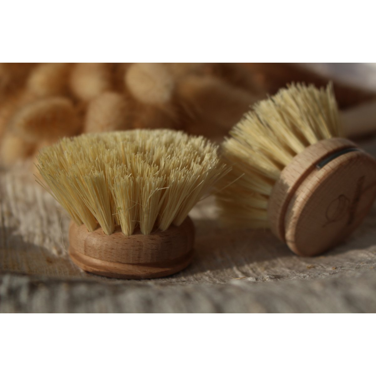 Replacement head for dish brush