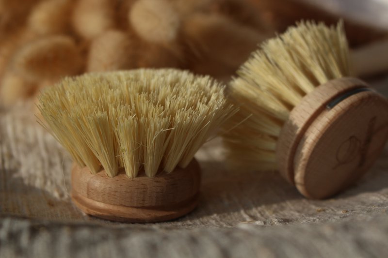 Replacement head for dish brush