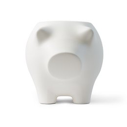 SIDEPIG